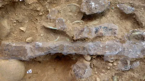 พบสมบัติยุคสัมฤทธิ์ในสกอตแลนด์