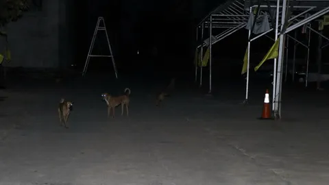 สมภาร-ประท้วง กักตัวในกรงหมา ถูกคาดโทษที่เปิดธรรมะส่งเสียงดัง