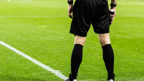 ศักดิ์ศรีสิงห์เชิ้ตดำ