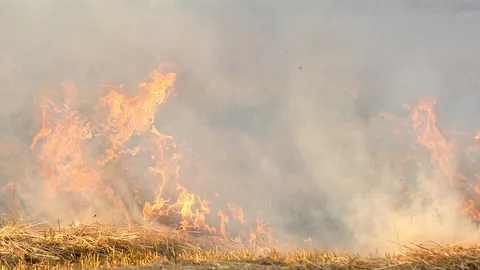 ครูและนักเรียนทนไม่ไหวแล้ว ชาวบ้านจุดไฟเผาตอซังข้าว หายใจไม่ออก