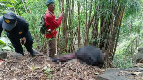 สลด ตาวัย 73 ขุดหน่อไม้ พบเป็นศพคากอไผ่ เชื่ออาถรรพณ์ภูแลนคา 