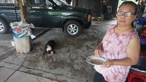 คนใจโหดใช้มีดฟันหัวสุนัข เลือดอาบนองพื้น เดินทนเจ็บกลับมาหาเจ้าของ