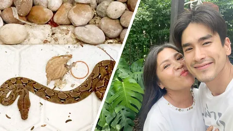 แม่ณเดชน์ เผยเลขเด็ดหลังงูหลามเข้าบ้าน-ทำบุญเจาะน้ำบาดาล (คลิป)