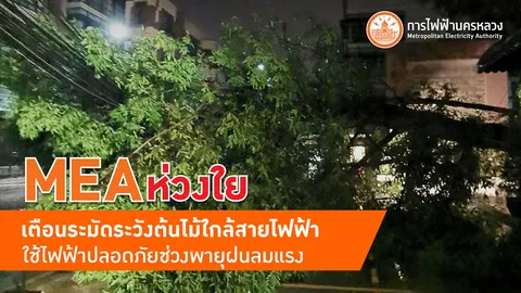 MEA ห่วงใยใช้ไฟฟ้าปลอดภัยช่วงพายุฝนลมแรง เตือนระมัดระวังต้นไม้ใกล้สายไฟฟ้า