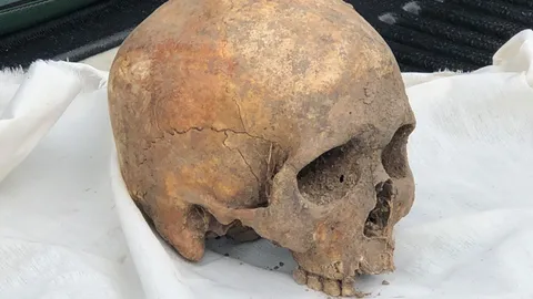 จนท.ชลประทาน ผงะพรวนดินปลูกผัก เจอกะโหลกมนุษย์ แจ้งตร.บางปูมาตรวจสอบ