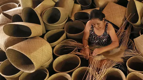 กระจูดไทย...ยังไม่ตาย พัฒนาลวดลาดสู่สากล