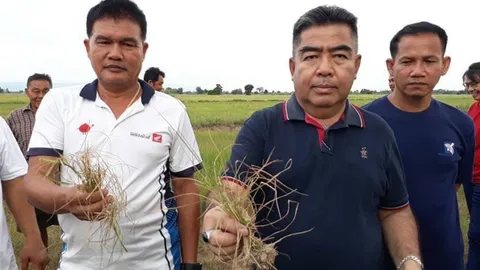 ส.ส.พิจิตร พปชร.ลุย รับฟังปัญหาภัยแล้ง ชาวบ้านวอน รัฐช่วยเยียวยา