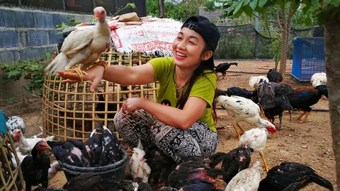 8 ปีมีเงินล้านซื้อที่ดิน จากยากจนสู่สาวเลี้ยงไก่ชน รายได้เสริมเดือนละ 3 หมื่น 