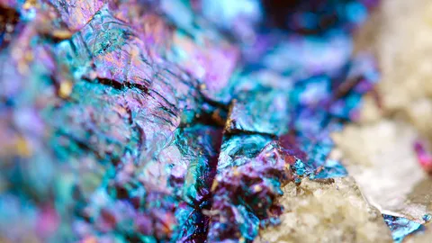 รู้จักไหม? เจ้าน้ำเงิน