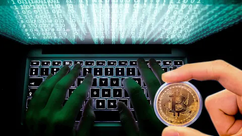 แฮกเกอร์เรียกค่าไถ่ โดนง่ายๆ แต่จับยาก