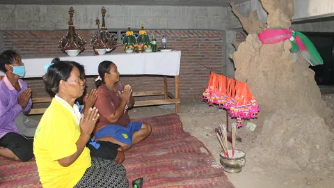 แห่ไหว้จอมปลวก คล้าย "พญานาค" โผล่ใต้ถุนศาลาการเปรียญ ไม่พลาดได้เลขเด็ด