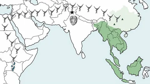 ฟอสซิลลิงไม่มีหางชนิดใหม่พบในอินเดีย