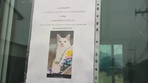 รปภ.เผย สาวรัสเซียตามหาเมนคูนให้ 1 แสน น่าสงสารเดินร้องไห้ตามหาทั้งวัน