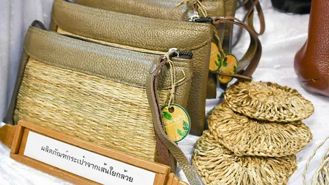 จากตำนานเชือกรัดงูเหลือม สู่เส้นใยถักทอเพิ่มราคา