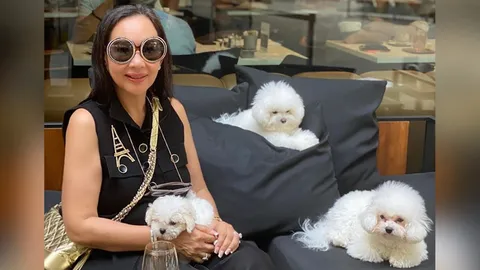 สนิทพิมพ์ เอกชัย มี ปืชอง กินซ่า และล่าสุด โอซาก้า มาให้พี่ๆ สองตัวได้เล่นด้วย