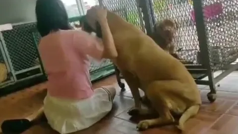 "เจ๊หงส์" มาเยี่ยมน้องหมาทั้ง 6 หลังอาการดีขึ้น เผยใกล้ได้บ้านใหม่แล้ว