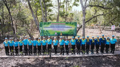 ตามติดกิจกรรมปลูกป่าชายเลนเฉลิมพระเกียรติฯ ฟื้นฟูธรรมชาติ ณ ป้อมพระจุลจอมเกล้า กับ MEA