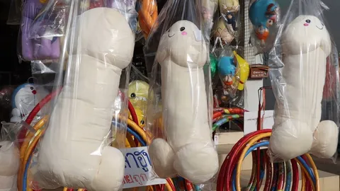 วธ.พิษณุโลกซัดหมอนปลัดขิก ขายให้นึกถึงศีลธรรม คนขายวอนมองเป็นหมอนข้าง 