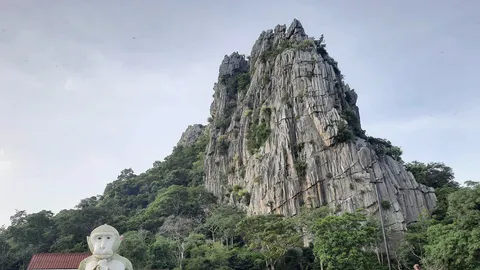ชาวบ้านหลายร้อยแห่มาเขาหน่อ หวังชมพญาวานร สุดท้ายผิดหวัง
