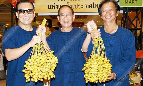อินทผลัมสด มากคุณค่าทางโภชนาการ