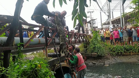 ล่าจับตาย