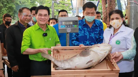 ซีฟู้ดหรอยจัง