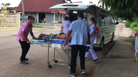 ฝูงผึ้งหลวงโมโหรุมต่อยลุง 54 ที่กำลังตัดหญ้าเจ็บหนัก คาดเสียงดังรบกวน