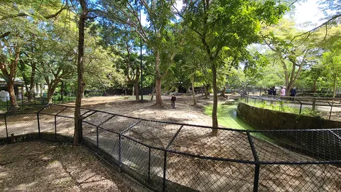 สวนสัตว์สงขลาเปิดตามปกติ แต่ จนท.เสียขวัญ ตกใจเจ้านายที่เคารพด่วนจากไป