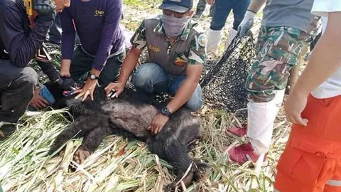 จับได้แล้ว