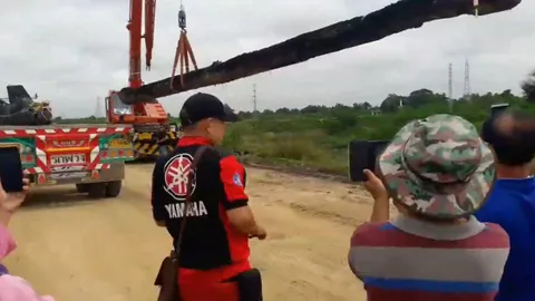 คอหวยส่องทะเบียนรถลาก ต้นตะเคียนร้อยปีที่สันกำแพง นำไว้วัดทุ่งขี้เสือ (คลิป)