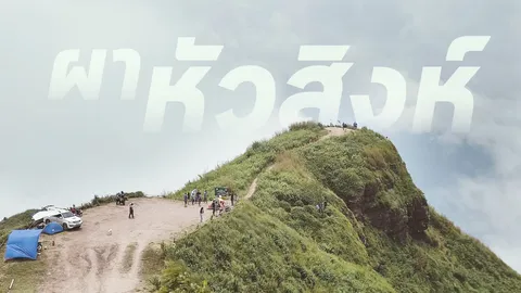 ไปเที่ยวกันไหม ปลายฝนต้นหนาว ชมทะเลหมอก "ผาหัวสิงห์" ชมทะเลหมอก 360 องศา