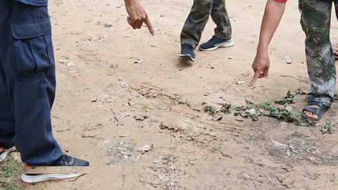 ชาวบ้านหนองคายผวาพบสัตว์คล้ายเสือ ขณะออกหาของป่า มีรอยเท้าอยู่ใกล้ชุมชน