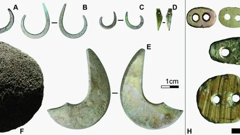 การปรับตัวของมนุษย์ยุคแรกบนเกาะอาลอร์