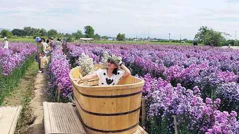 เช็กอินล่าสุดสวนดอกไม้ อ.แม่ริม เสน่ห์ที่เที่ยว จ.เชียงใหม่ รับหน้าหนาว (คลิป)