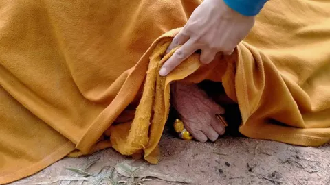 หลวงปู่วัย 83 มรณภาพในหนองน้ำ ทิ้งปริศนา ในมือมีพระเศียรหัก