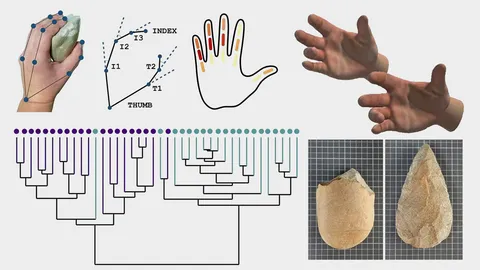 กายศาสตร์ของมือ กับเครื่องมือยุคหินเก่า
