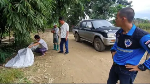 คนขับแบ็กโฮถึงฆาต ฝูงผึ้งโหดรุมต่อยโดดน้ำหนี แพ้พิษเสียชีวิตอนาถ