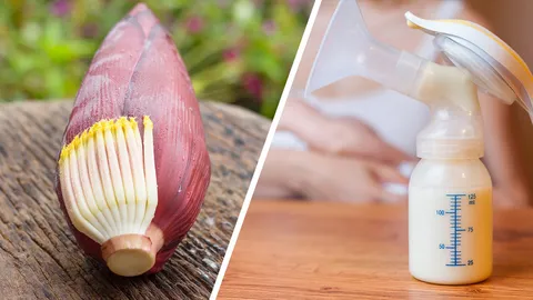 5 อาหารเพิ่มน้ำนมหลังคลอด สำหรับคุณแม่นักปั๊ม