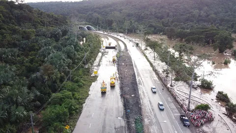 สัญจรได้แล้ว อุโมงค์เชื่อมผืนป่าทับลานน้ำแห้ง สั่งเจ้าหน้าที่เฝ้าระวัง