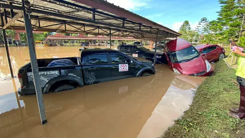 น้ำป่าซัด 