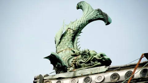 ปลากับญี่ปุ่น (1)