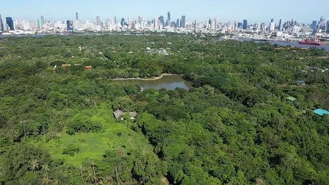 สุขไม่จางที่บางกะเจ้า Bang Kachao: A Model of Responsible Tourism