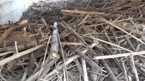 พบแล้วร่าง ตา-ยาย ถูกน้ำป่าปราจีนพัดหาย เจออยู่ห่างจุดเกิดเหตุกว่า 3 กม.