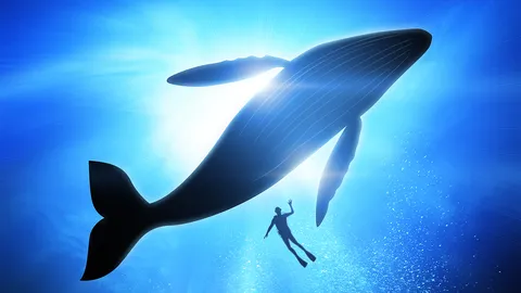 รอดจากปากวาฬ