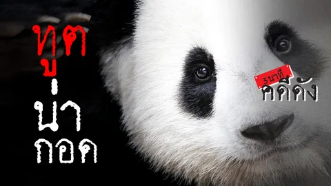 3 นาทีคดีดัง : “แพนด้า” ทูตที่น่ากอดที่สุดในโลก (คลิป)