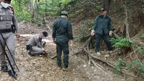 อีโอดีอุตรดิตถ์เก็บกู้ลูกปืน ค. 81 มม.แบบส่องสว่าง หลังพบถูกทิ้งในป่า