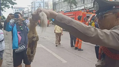 ไฟไหม้ห้องเอกสาร ธ.ทหารไทย ที่อุดรฯ คาด "กระรอกน้อย" คือสาเหตุ 