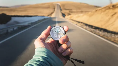 คนหลงทิศ