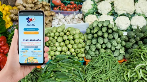 เตรียมพร้อมลงทะเบียน คนละครึ่งเก็บตก รอบ 3 ชิงสิทธิ์รับเงิน 3,000 บาท