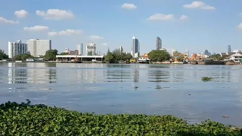 พบแล้วหนุ่ม กทม.โดดสะพานภูมิพล หลังศพลอยกลางเจ้าพระยา ญาติไม่ติดใจปมตาย